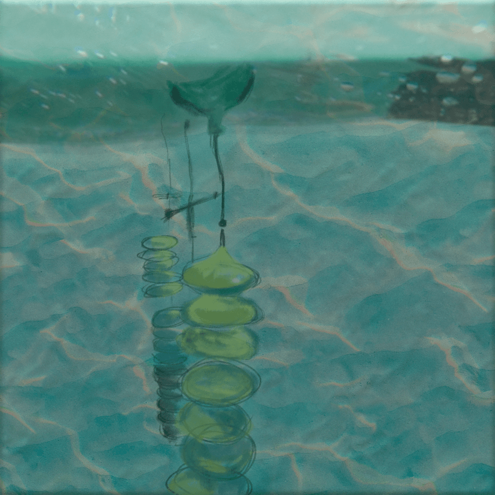 Краткая технология выращивания