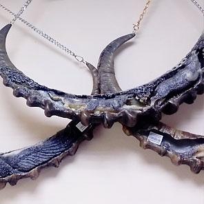 РОГ ИЗОБИЛИЯ